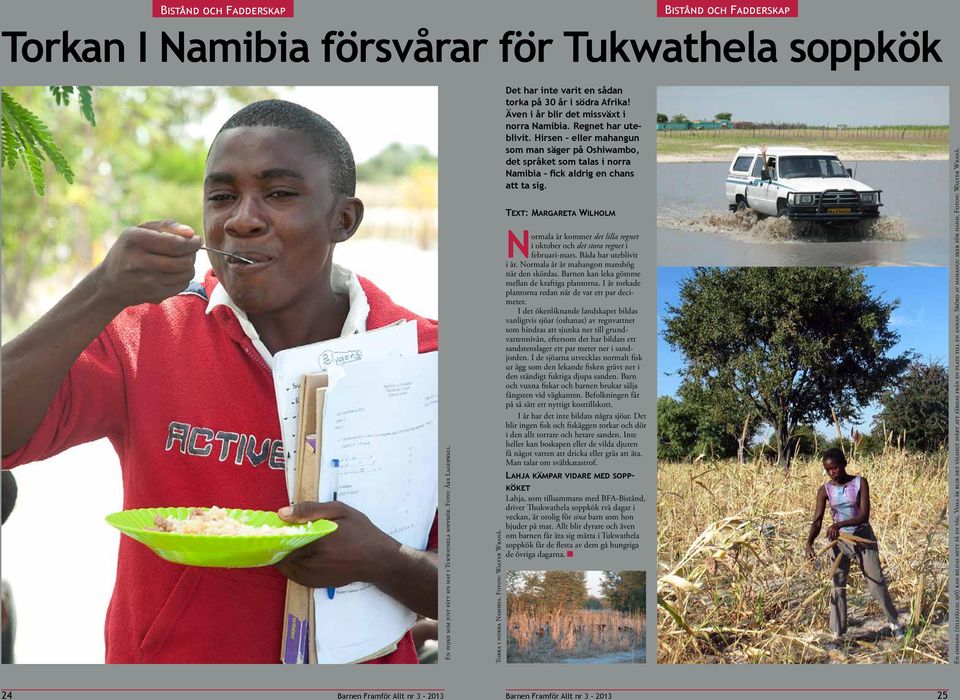 Hirsen eller mahangun som man säger på Oshiwambo, det språket som talas i norra Namibia fick aldrig en chans att ta sig.