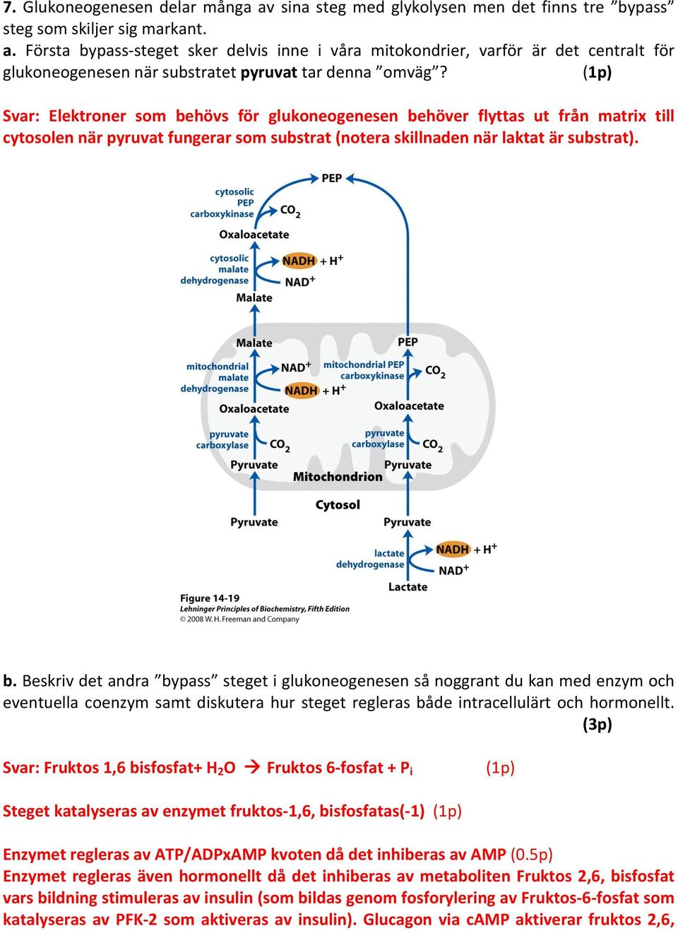 hövs för glukoneogenesen behöver flyttas ut från matrix till cytosolen när pyruvat fungerar som substrat (notera skillnaden när laktat är substrat). b. Beskriv det andra bypass steget i glukoneogenesen så noggrant du kan med enzym och eventuella coenzym samt diskutera hur steget regleras både intracellulärt och hormonellt.