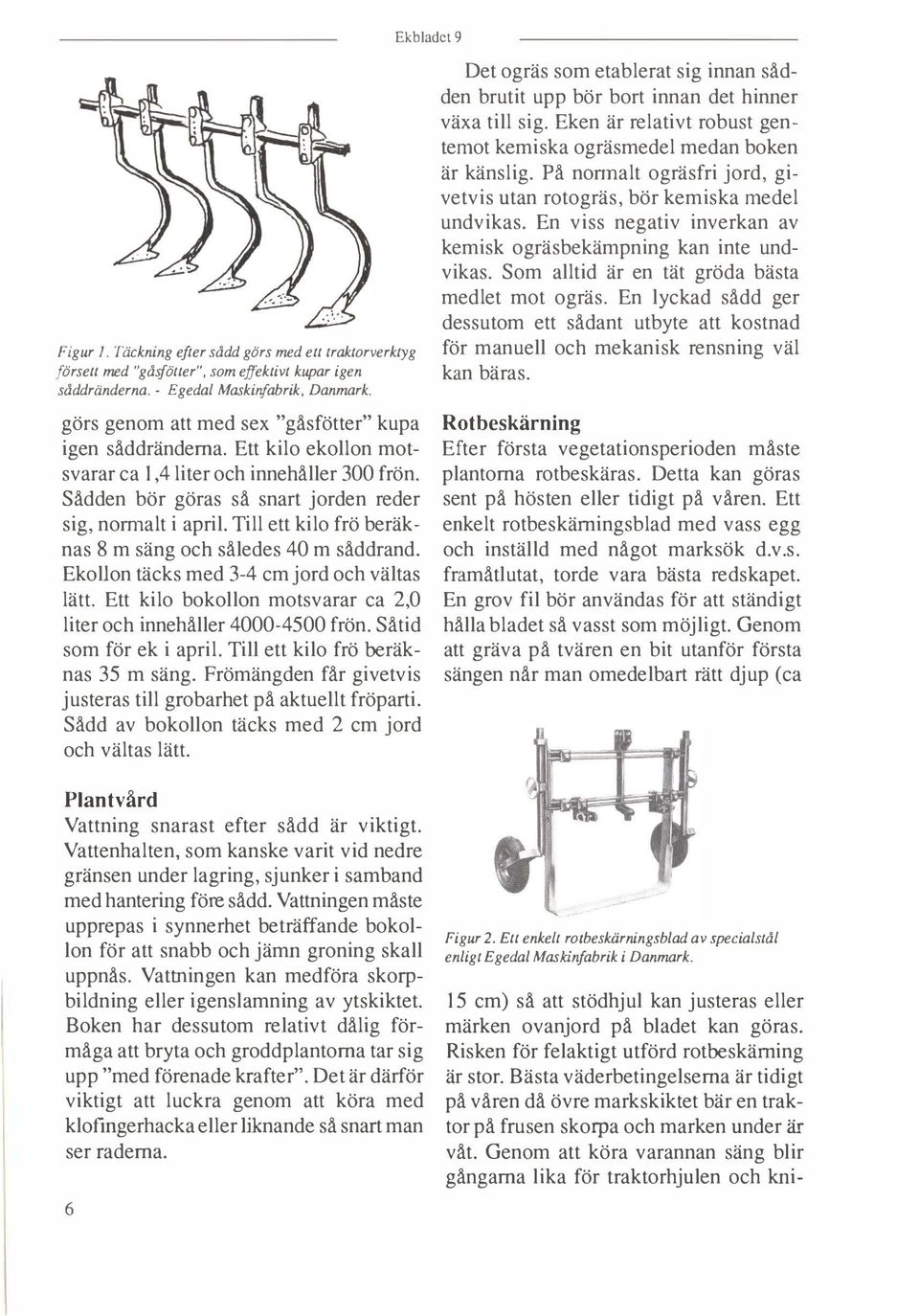 Till ett kilo frö beräknas 8 m säng och således 40 m såddrand, Ekollon täcks med 3-4 cm jord och vältas lätt.