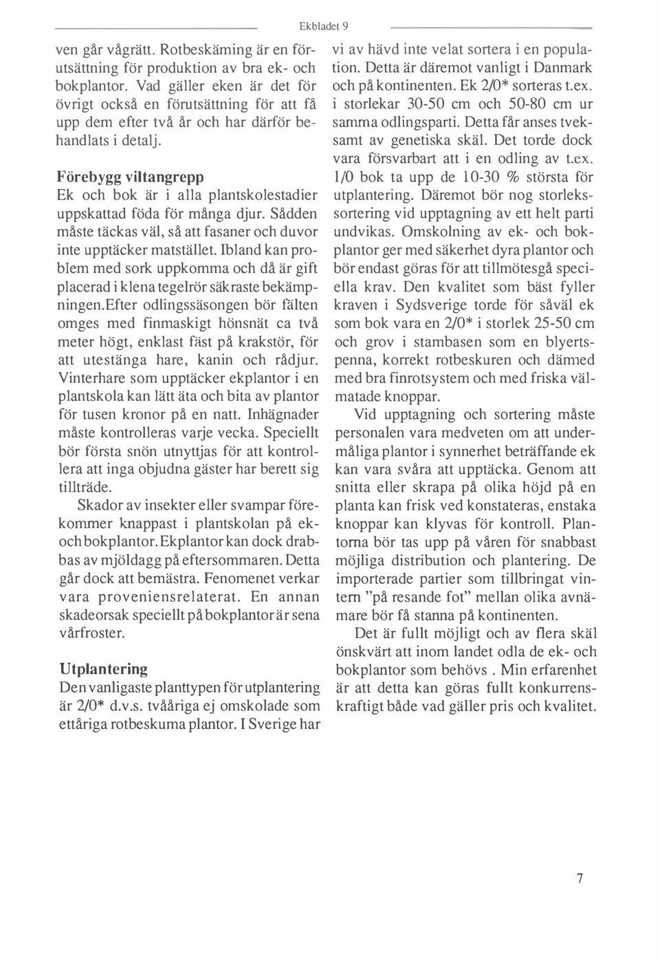 Förebygg viltangrepp Ek och bok är i alla plantskolestadier uppskattad föda för många djur. Sådden måste täckas väl, så att fasaner och duvor inte upptäcker matstället.
