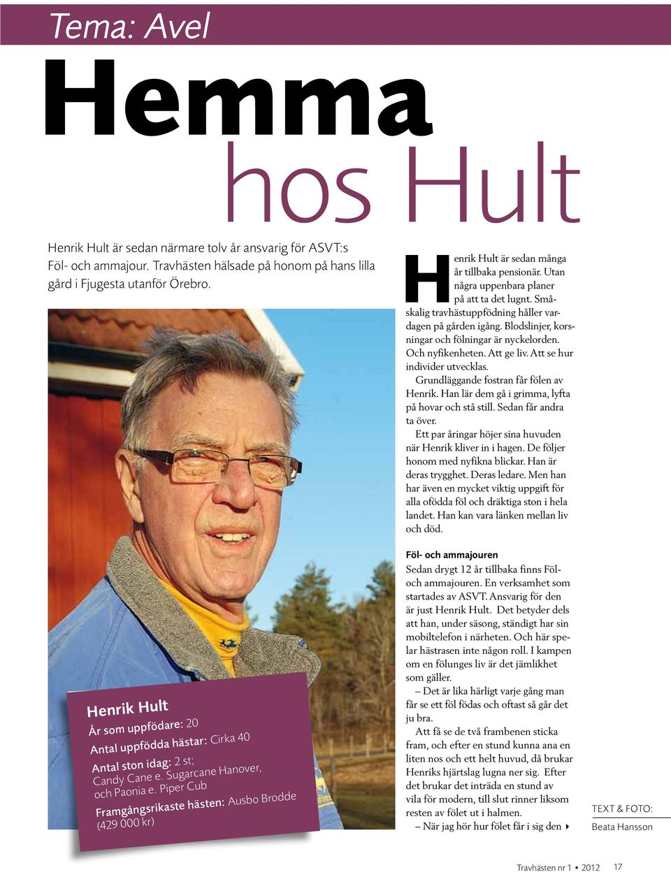 Piper Cub Framgångsrikaste hästen: Ausbo Brodde (429 000 kr) Henrik Hult är sedan många år tillbaka pensionär. Utan några uppenbara planer på att ta det lugnt.