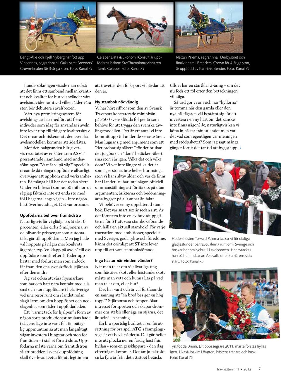 Foto: Kanal 75 Nettan Palema, segrarinna i Derbystoet och finalvinnare i Breeders Crown för 4-åriga ston, är uppfödd av Karl-Erik Bender.