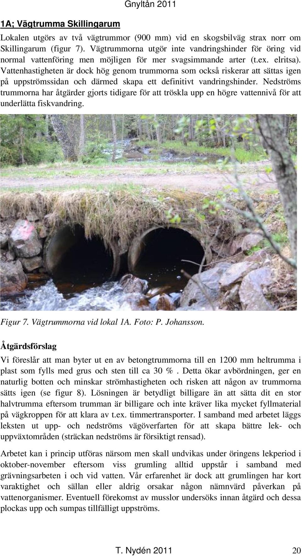 Vattenhastigheten är dock hög genom trummorna som också riskerar att sättas igen på uppströmssidan och därmed skapa ett definitivt vandringshinder.
