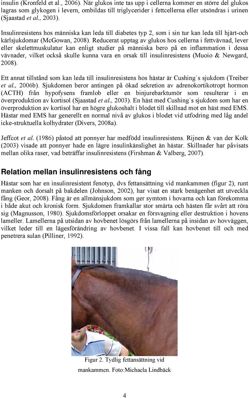 Insulinresistens hos människa kan leda till diabetes typ 2, som i sin tur kan leda till hjärt-och kärlsjukdomar (McGowan, 2008).