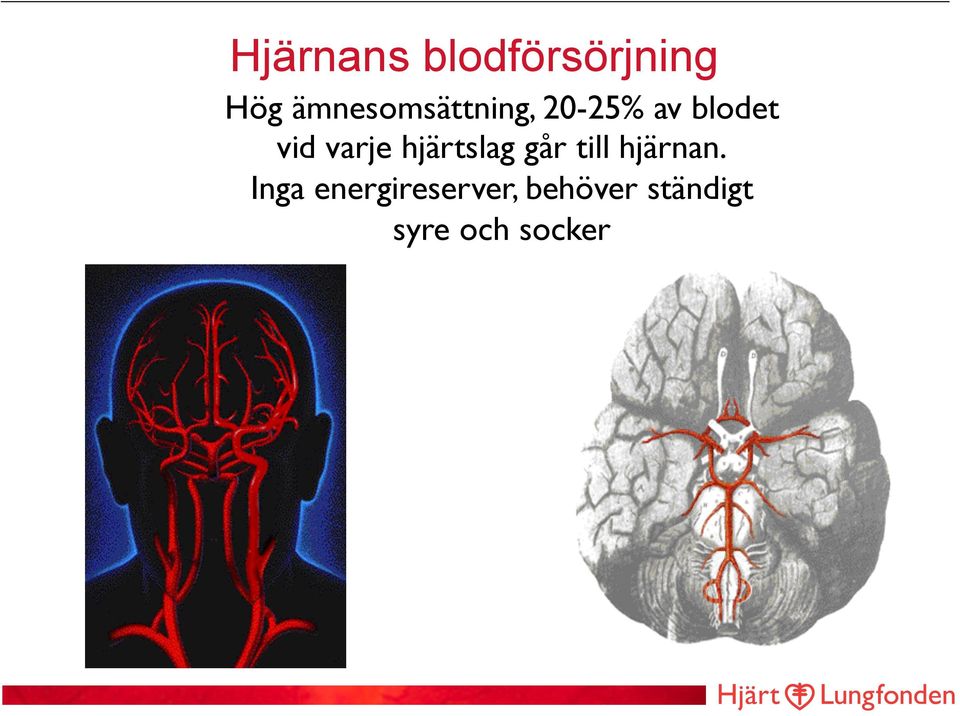 varje hjärtslag går till hjärnan.