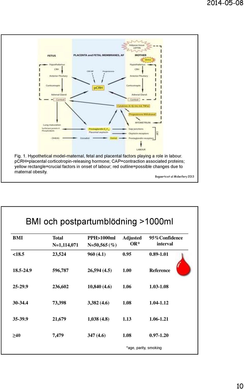 outline=possible changes due to maternal obesity.