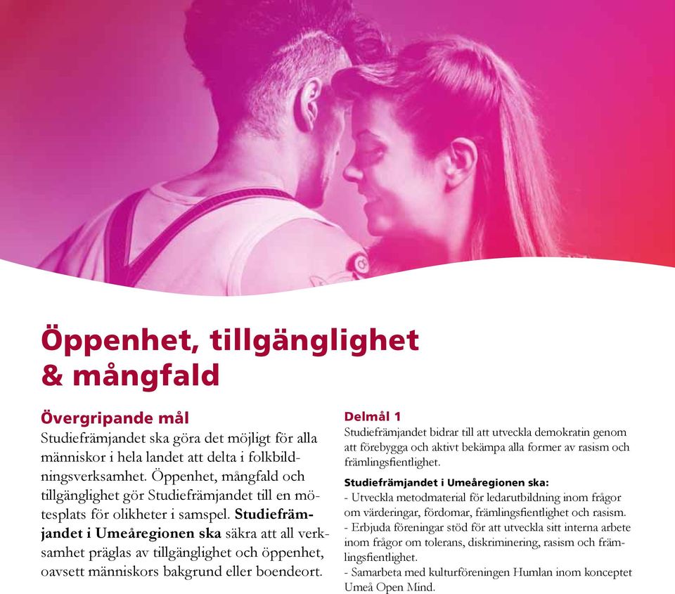 Studiefrämjandet i Umeåregionen ska säkra att all verksamhet präglas av tillgänglighet och öppenhet, oavsett människors bakgrund eller boendeort.