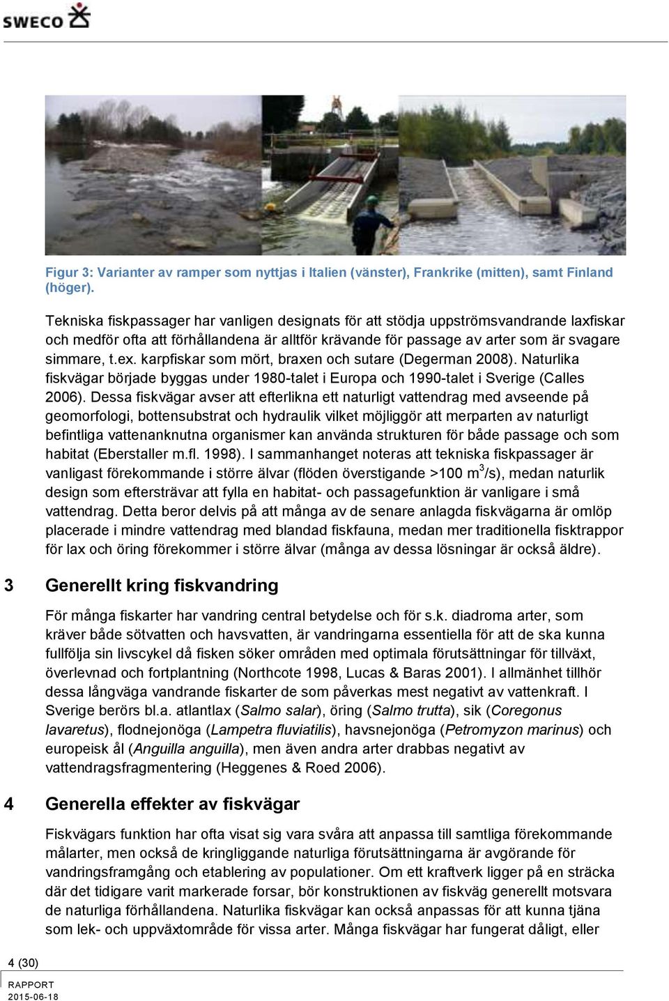 karpfiskar som mört, braxen och sutare (Degerman 2008). Naturlika fiskvägar började byggas under 1980-talet i Europa och 1990-talet i Sverige (Calles 2006).