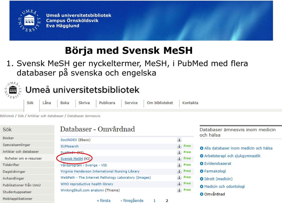 nyckeltermer, MeSH, i PubMed