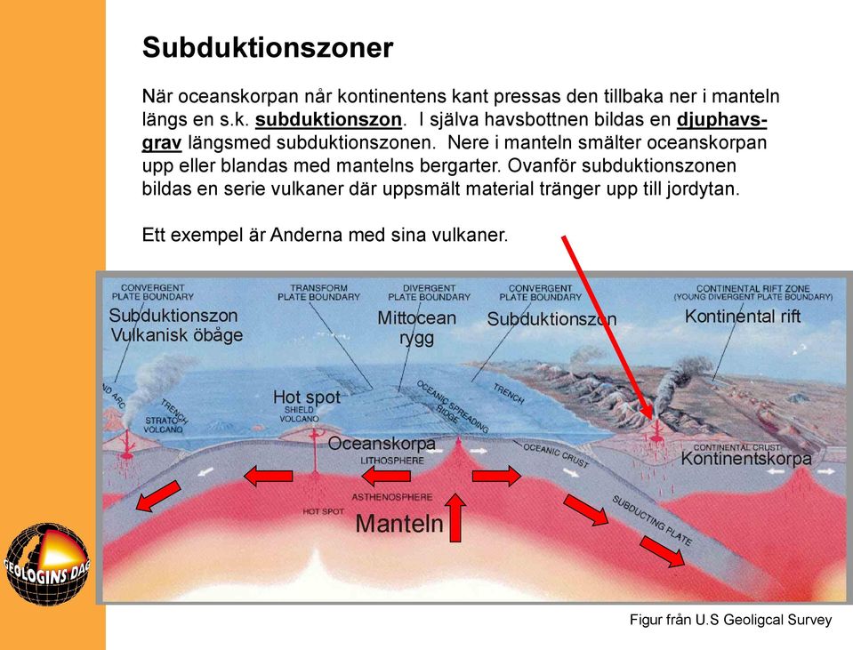 Nere i manteln smälter oceanskorpan upp eller blandas med mantelns bergarter.