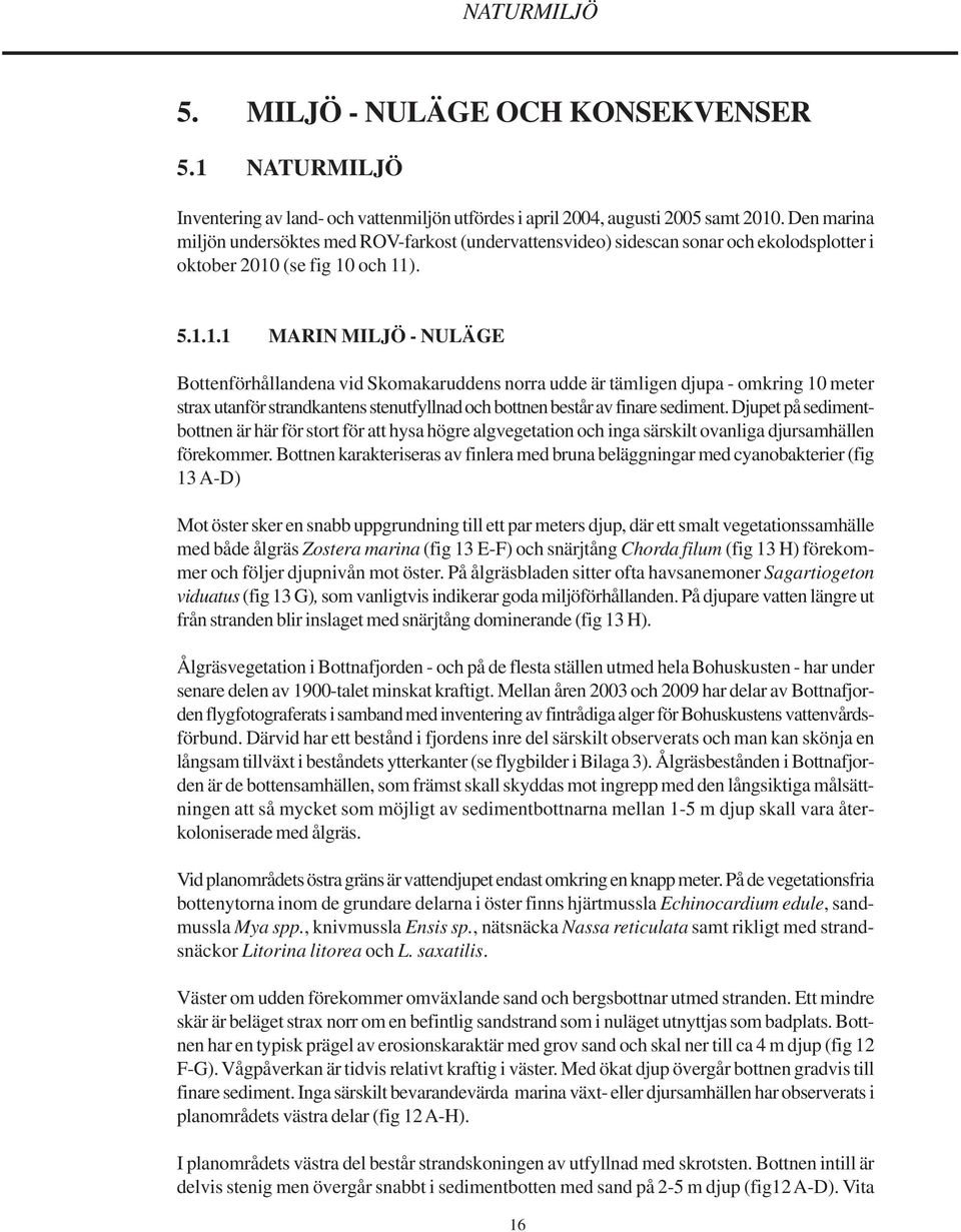 (se fig 10 och 11). 5.1.1.1 MARIN MILJÖ - NULÄGE Bottenförhållandena vid Skomakaruddens norra udde är tämligen djupa - omkring 10 meter strax utanför strandkantens stenutfyllnad och bottnen består av finare sediment.