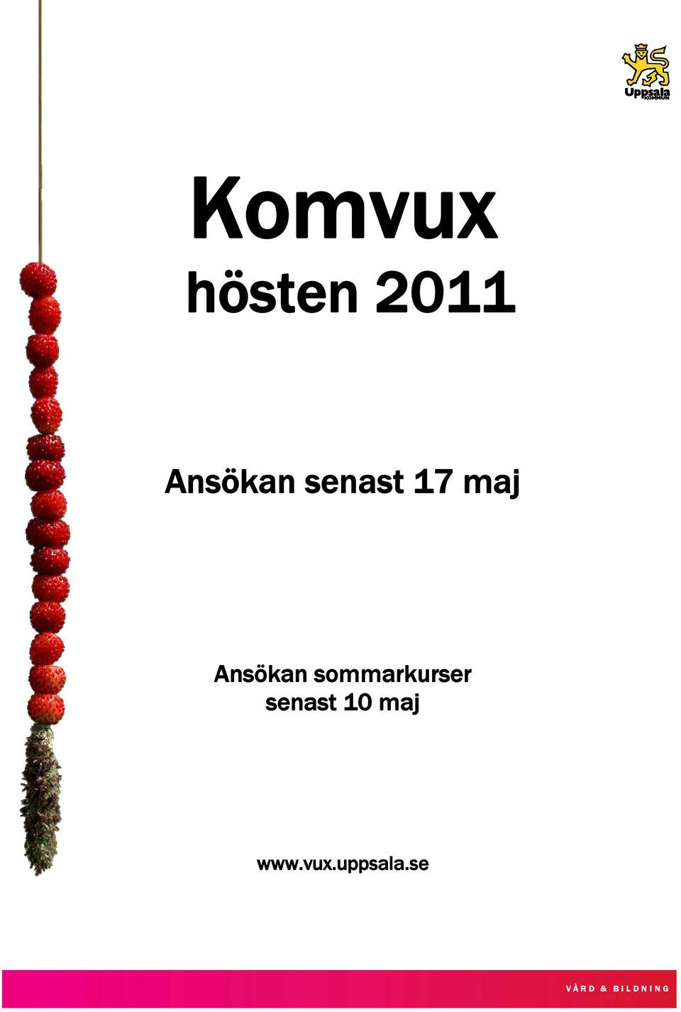 Ansökan sommarkurser