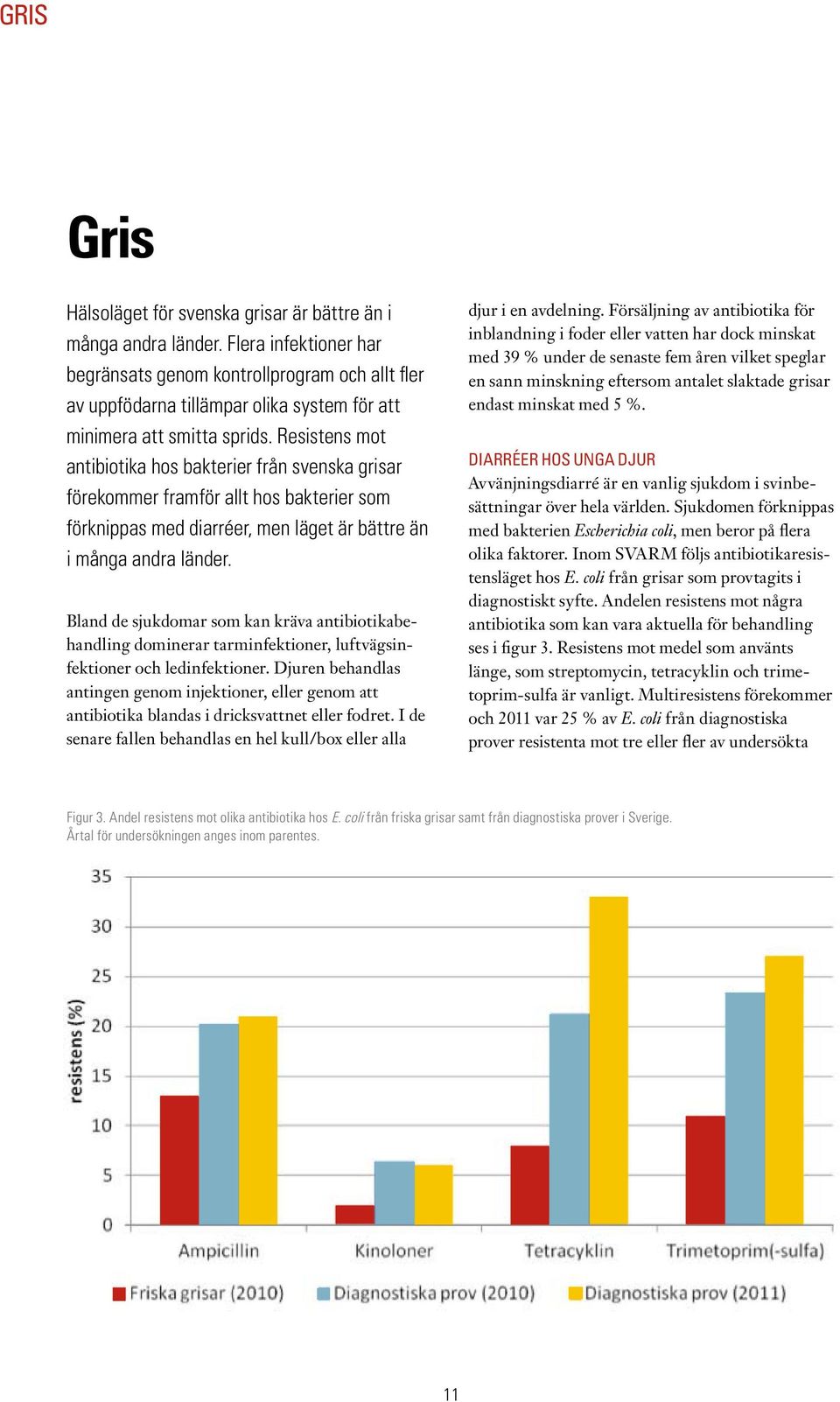 Resistens mot antibiotika hos bakterier från svenska grisar förekommer framför allt hos bakterier som förknippas med diarréer, men läget är bättre än i många andra länder.