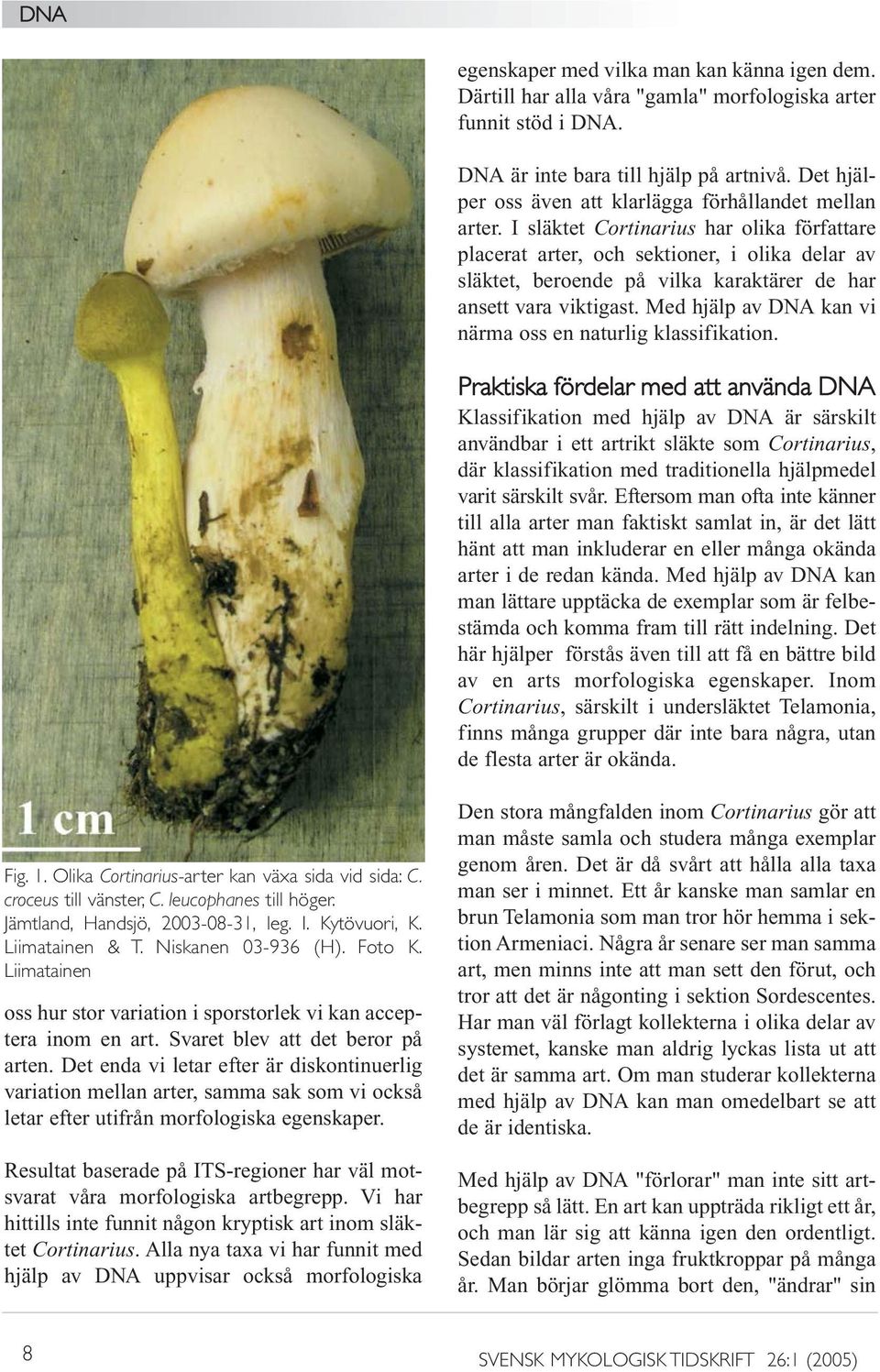 I släktet Cortinarius har olika författare placerat arter, och sektioner, i olika delar av släktet, beroende på vilka karaktärer de har ansett vara viktigast.