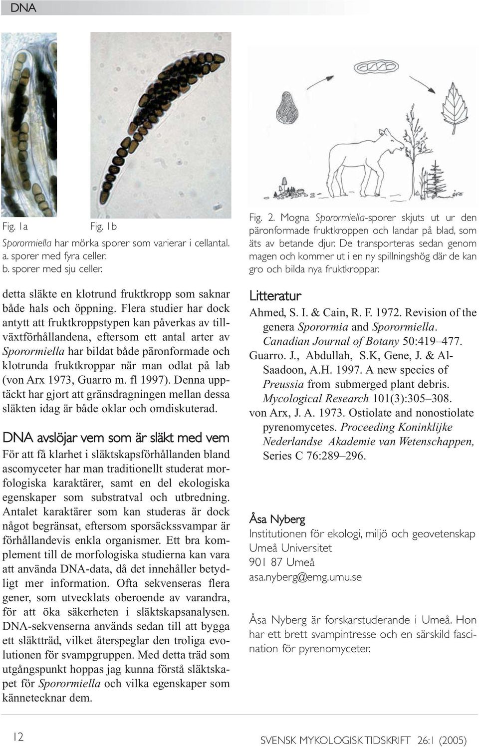 odlat på lab (von Arx 1973, Guarro m. fl 1997). Denna upptäckt har gjort att gränsdragningen mellan dessa släkten idag är både oklar och omdiskuterad.