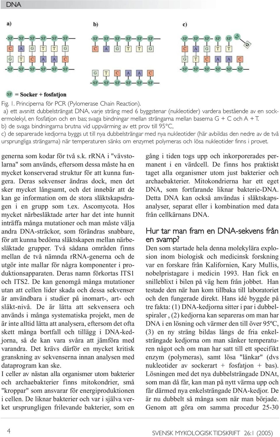 och A + T.