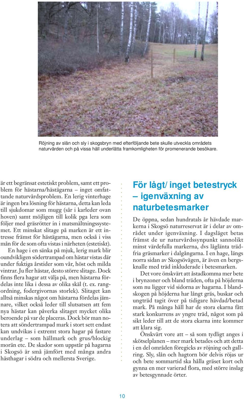 En lerig vinterhage är ingen bra lösning för hästarna, detta kan leda till sjukdomar som mugg (sår i karleder ovan hoven) samt möjligen till kolik pga lera som följer med gräsrötter in i