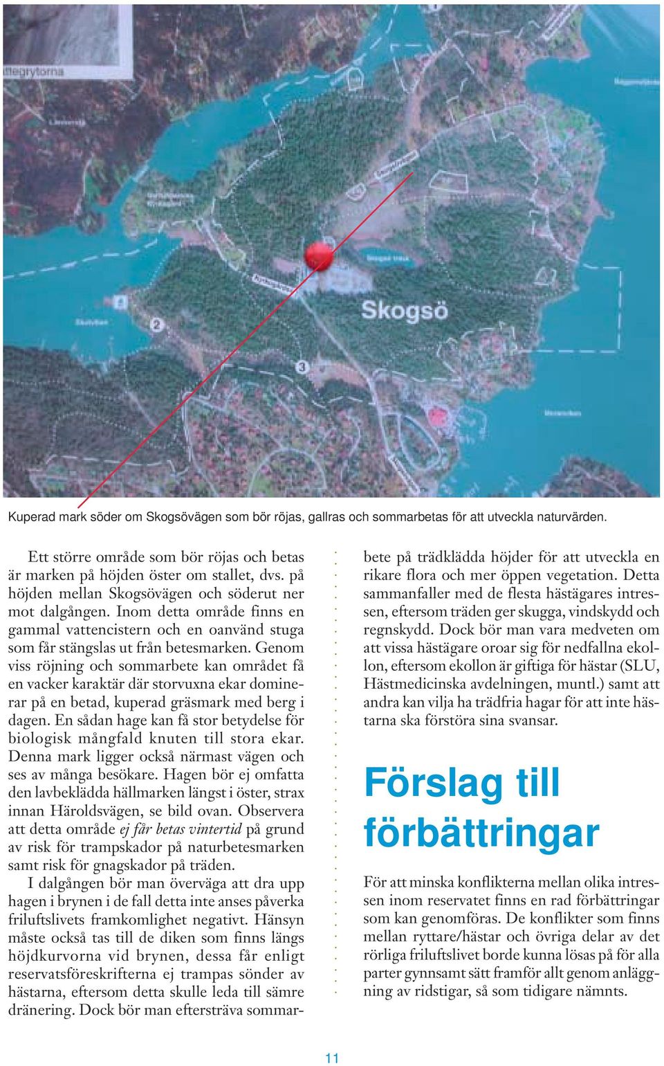 Genom viss röjning och sommarbete kan området få en vacker karaktär där storvuxna ekar dominerar på en betad, kuperad gräsmark med berg i dagen.