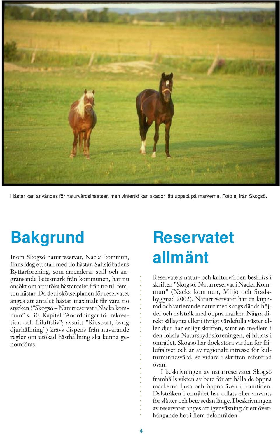 Saltsjöbadens Ryttarförening, som arrenderar stall och angränsande betesmark från kommunen, har nu ansökt om att utöka hästantalet från tio till femton hästar.