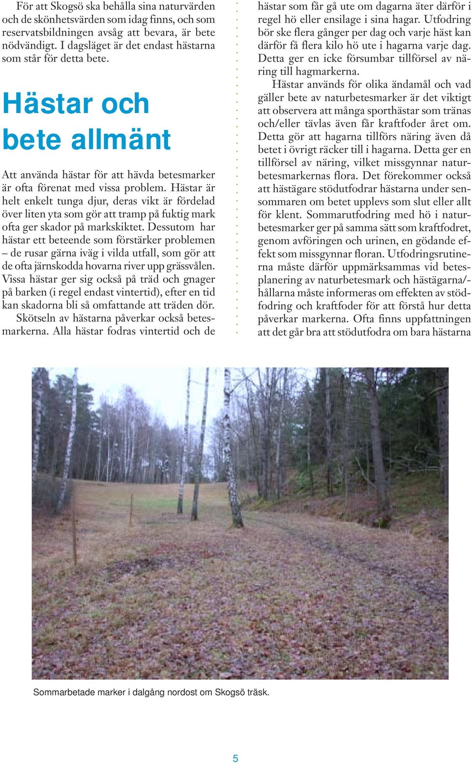 Hästar är helt enkelt tunga djur, deras vikt är fördelad över liten yta som gör att tramp på fuktig mark ofta ger skador på markskiktet.