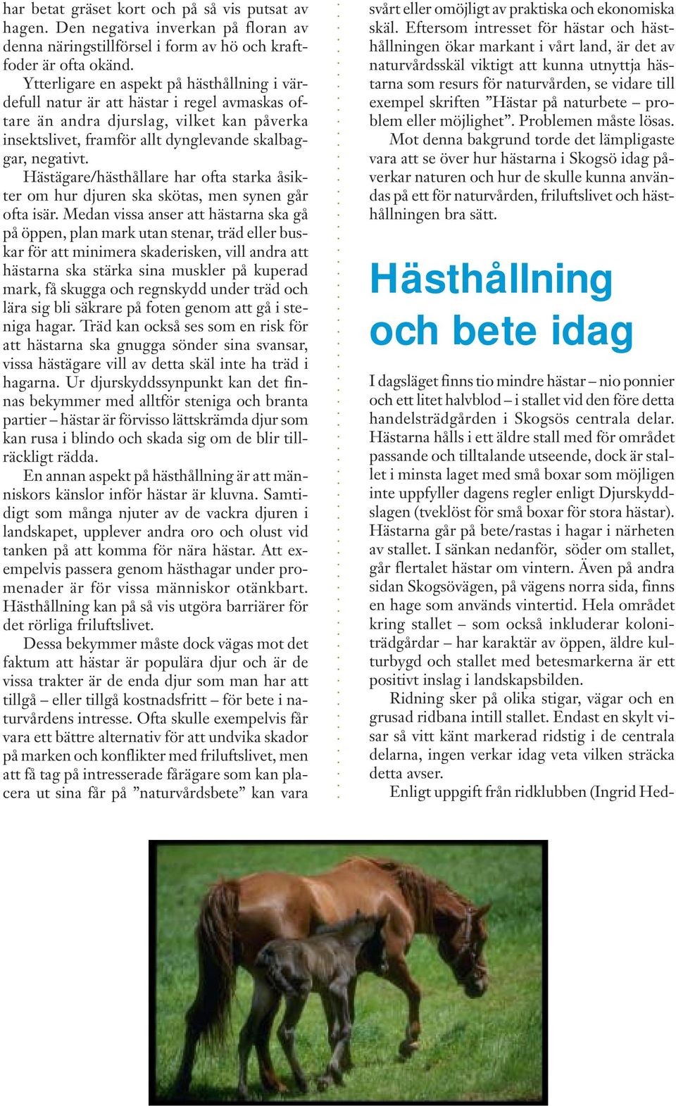 Hästägare/hästhållare har ofta starka åsikter om hur djuren ska skötas, men synen går ofta isär.
