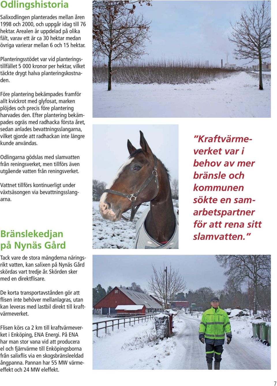 Planteringsstödet var vid planteringstillfället 5 000 kronor per hektar, vilket täckte drygt halva planteringskostnaden.
