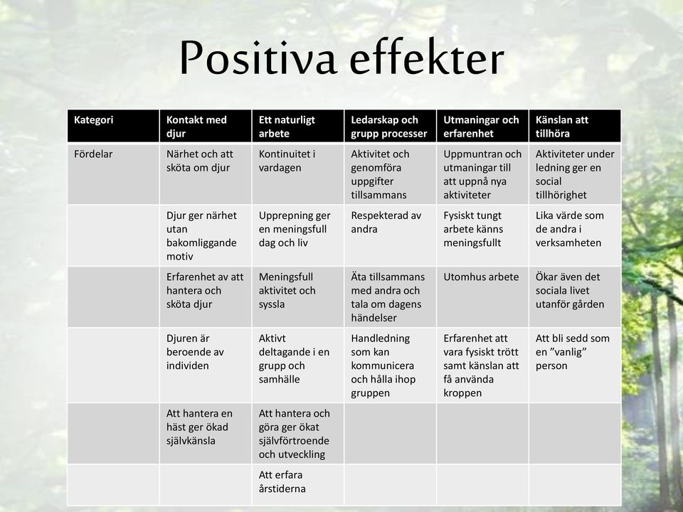 motiv Upprepning ger en meningsfull dag och liv Respekterad av andra Fysiskt tungt arbete känns meningsfullt Lika värde som de andra i verksamheten Erfarenhet av att hantera och sköta djur