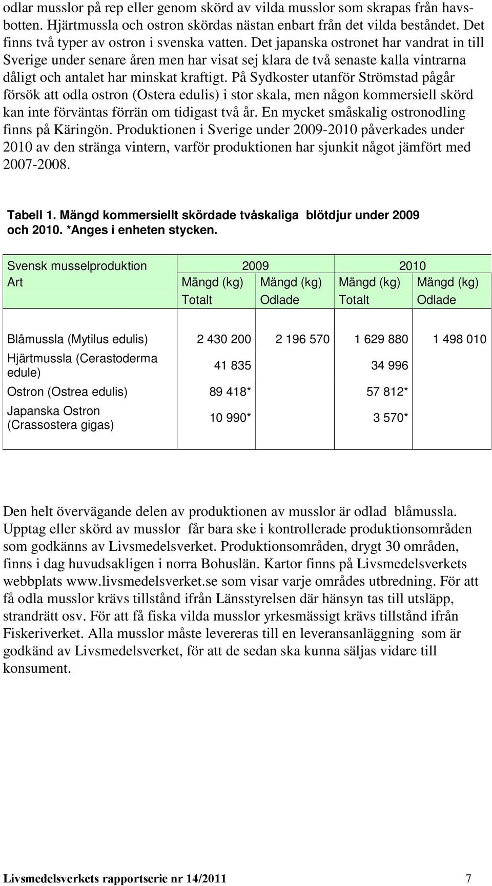 Det japanska ostronet har vandrat in till Sverige under senare åren men har visat sej klara de två senaste kalla vintrarna dåligt och antalet har minskat kraftigt.