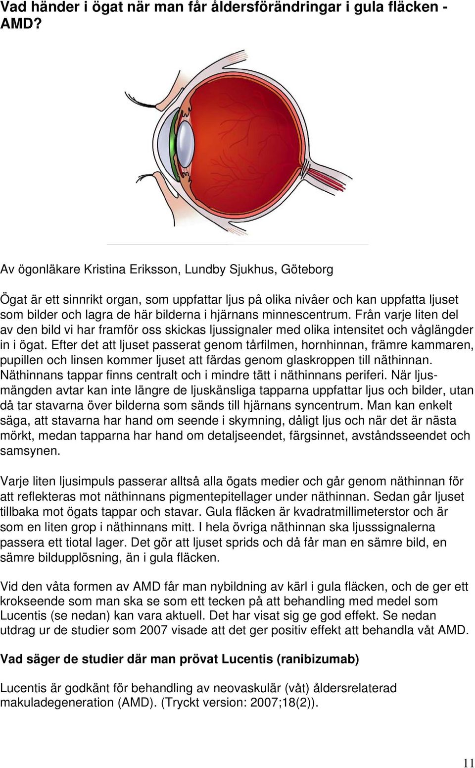 minnescentrum. Från varje liten del av den bild vi har framför oss skickas ljussignaler med olika intensitet och våglängder in i ögat.