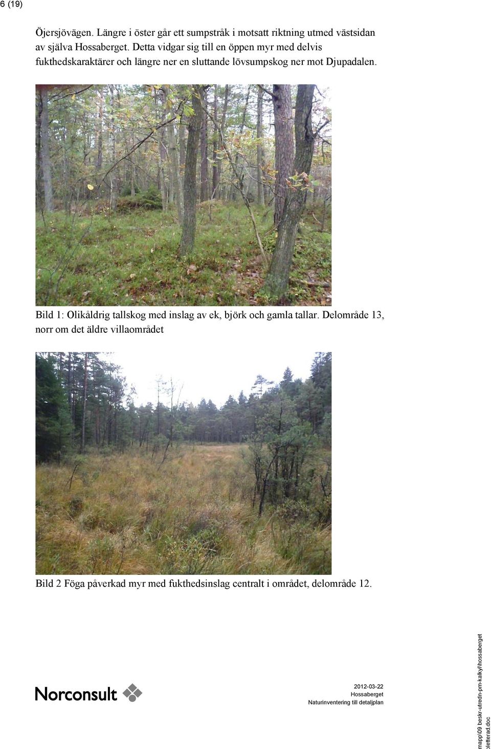 ner mot Djupadalen. Bild 1: Olikåldrig tallskog med inslag av ek, björk och gamla tallar.