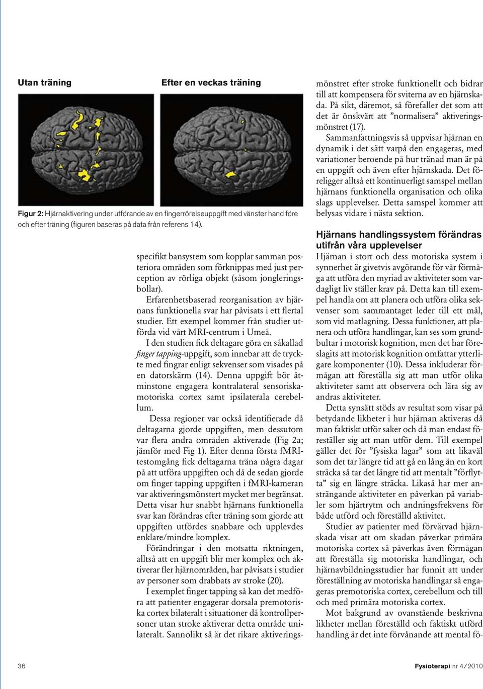 Erfarenhetsbaserad reorganisation av hjärnans funktionella svar har påvisats i ett flertal studier. Ett exempel kommer från studier utförda vid vårt MRI-centrum i Umeå.