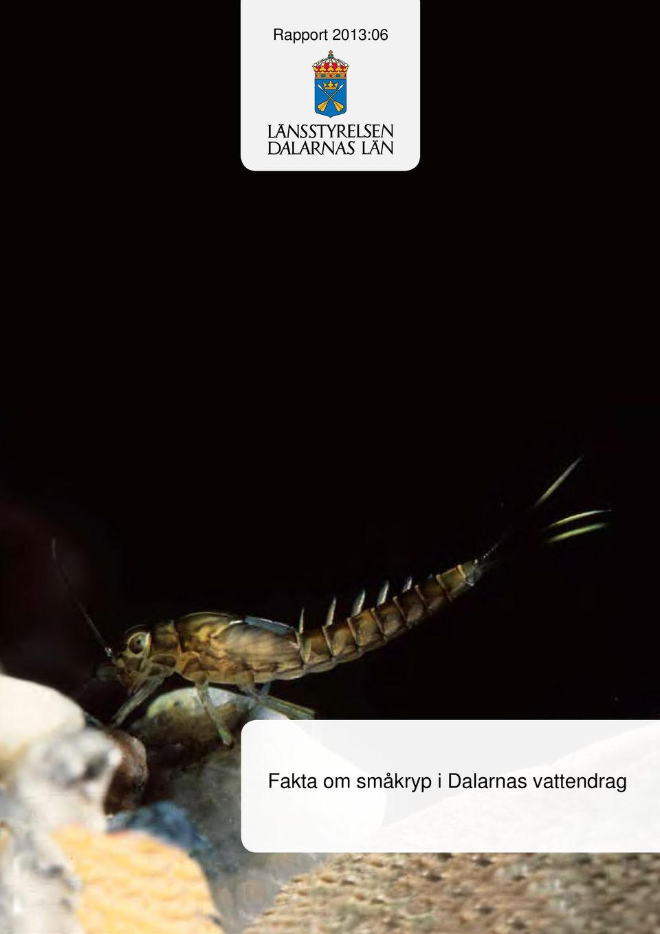 om småkryp i