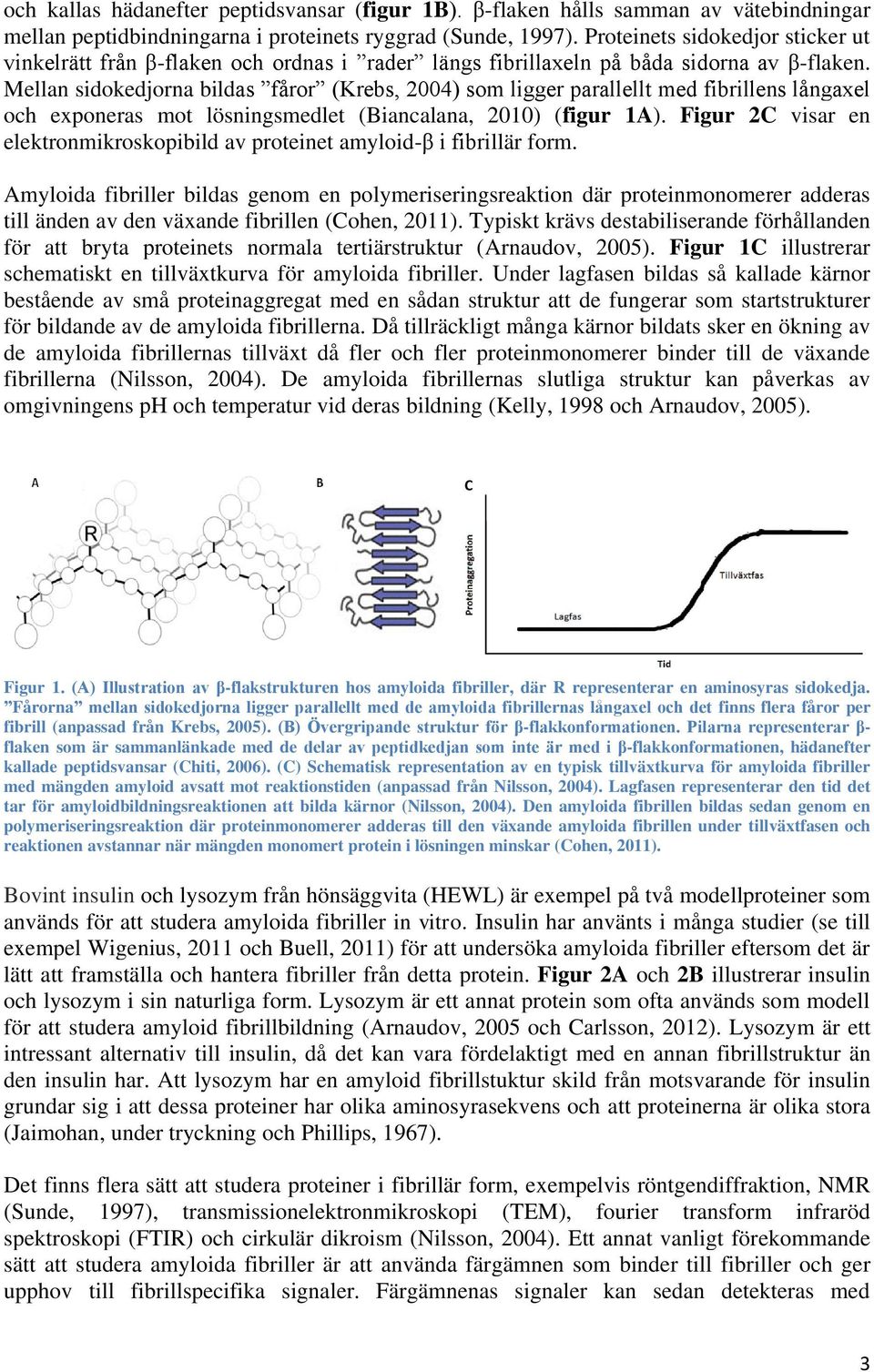 Mellan sidokedjorna bildas fåror (Krebs, 24) som ligger parallellt med fibrillens långaxel och exponeras mot lösningsmedlet (Biancalana, 21) (figur 1A).