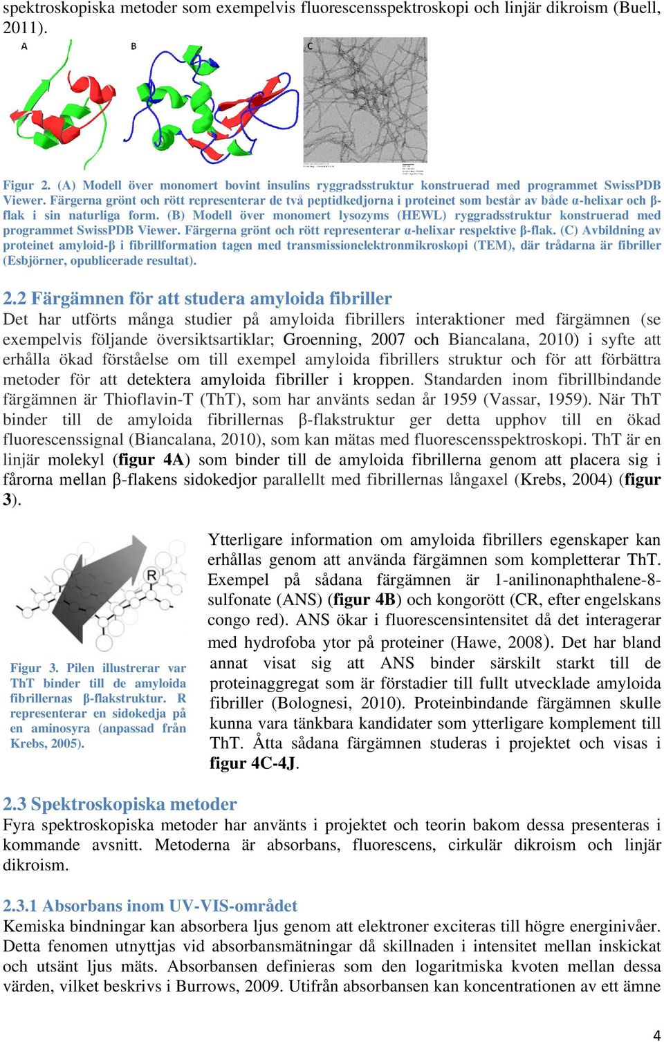 Färgerna grönt och rött representerar de två peptidkedjorna i proteinet som består av både α-helixar och β- flak i sin naturliga form.