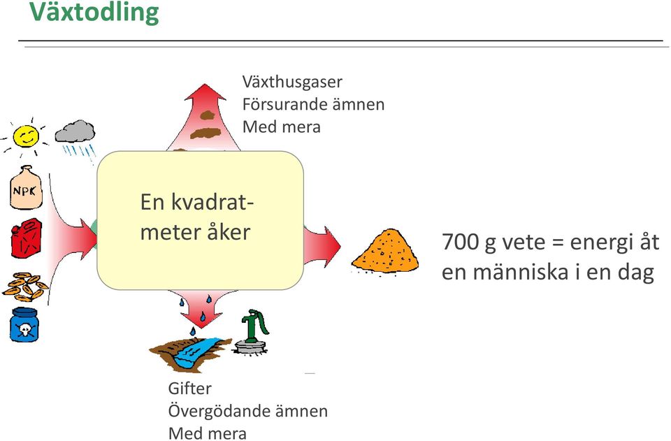 Koldioxid 700 g vete = energi åt en