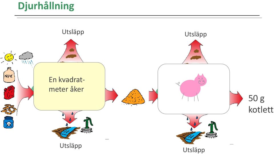 åker Koldioxid 50 g