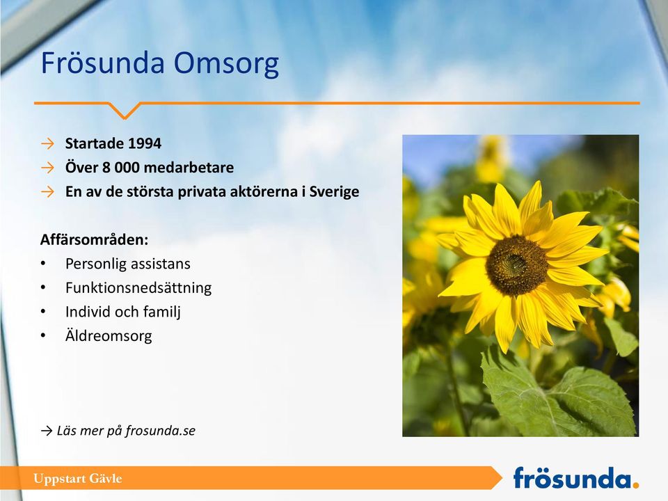 Sverige Affärsområden: Personlig assistans