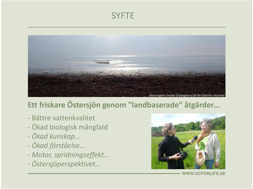 kunskap - Ökad förståelse - Motor, spridningseffekt -