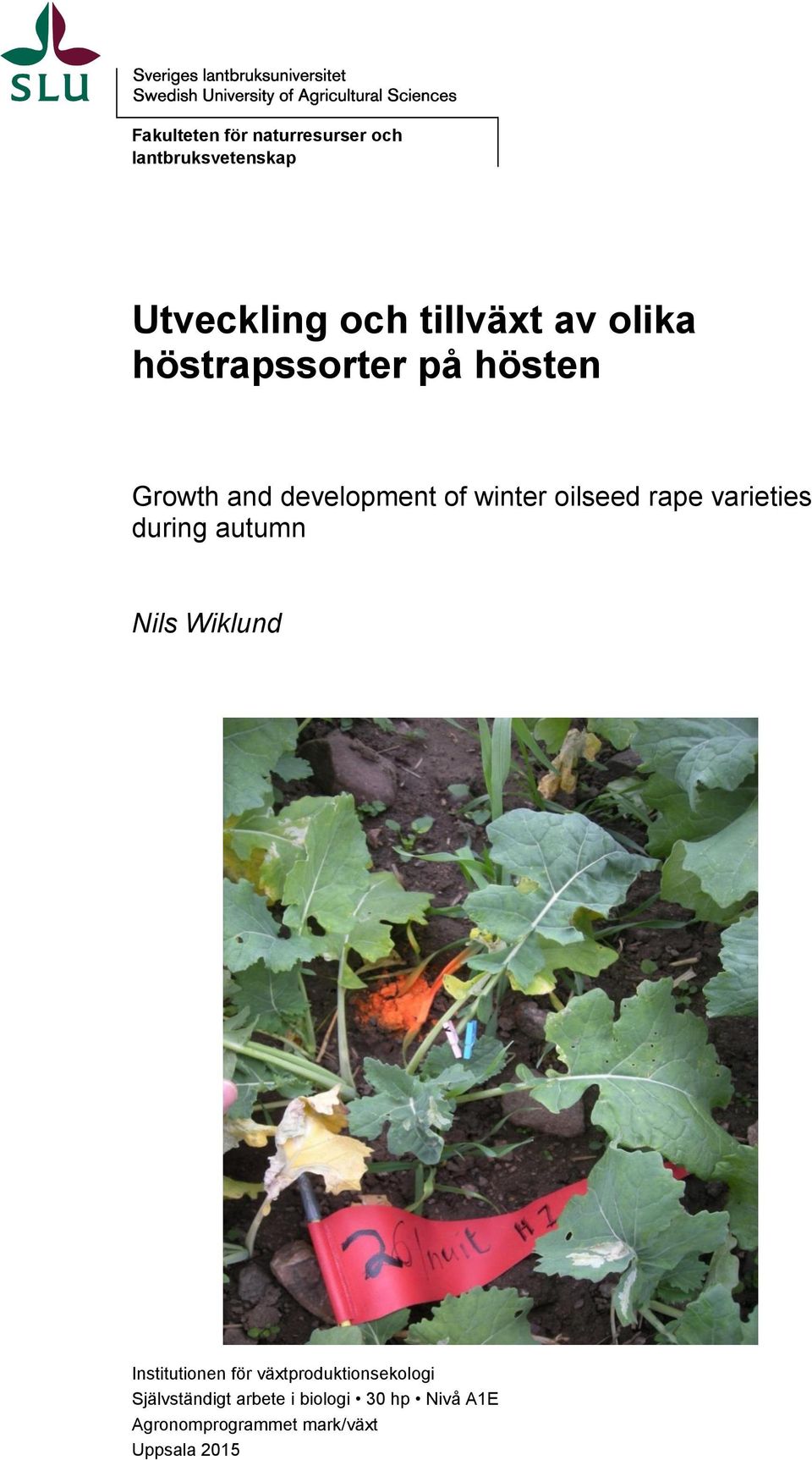 varieties during autumn Nils Wiklund Institutionen för växtproduktionsekologi