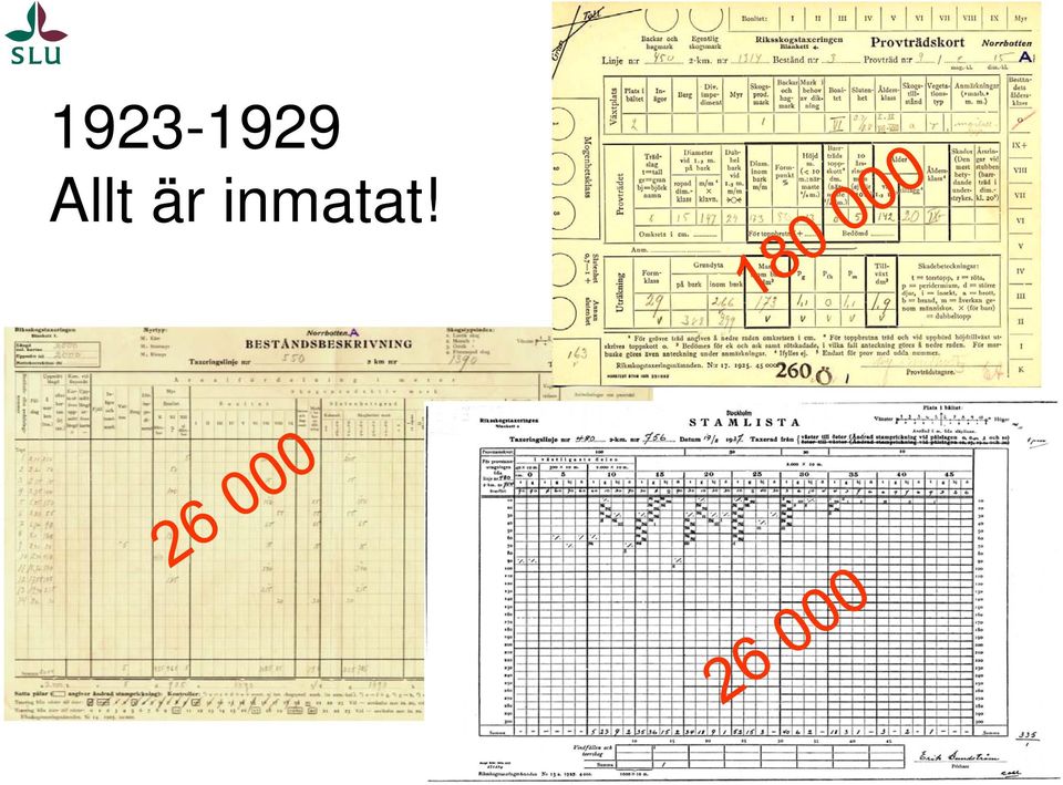 inmatat!
