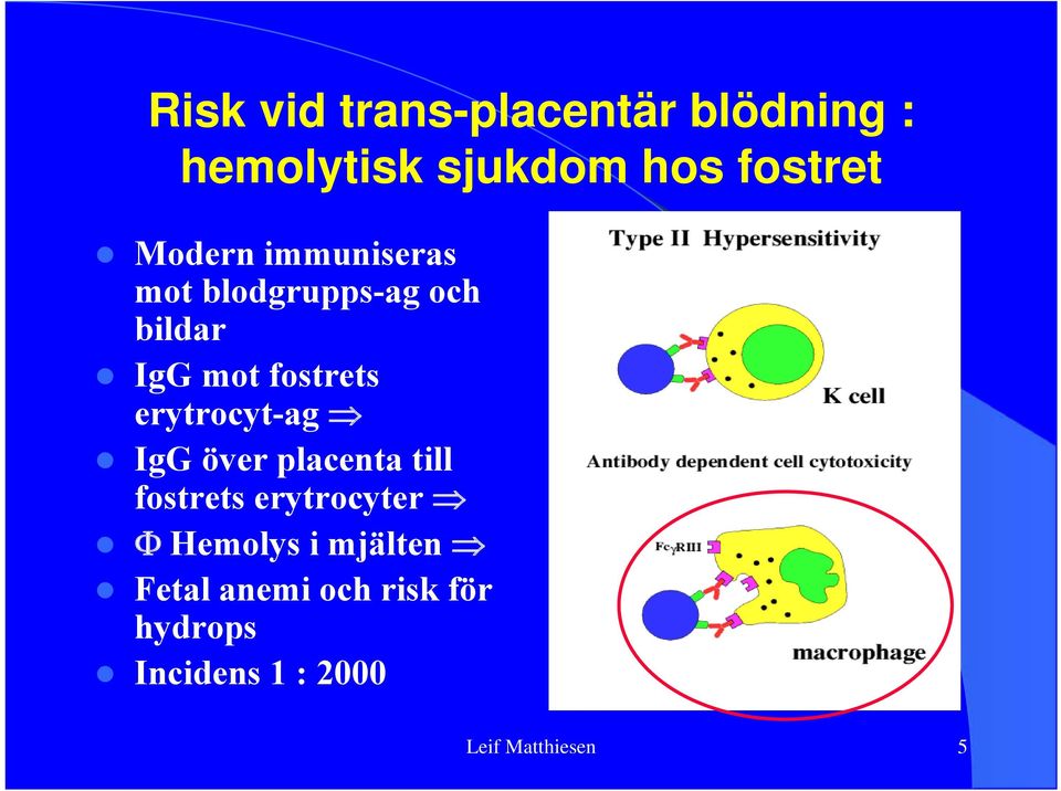 erytrocyt-ag IgG över placenta till fostrets erytrocyter Hemolys i