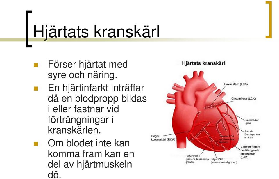 eller fastnar vid förträngningar i kranskärlen.