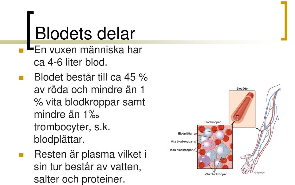 blodkroppar samt mindre än 1 trombocyter, s.k. blodplättar.