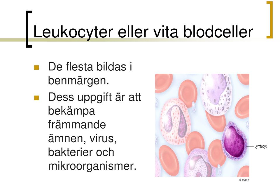 Dess uppgift är att bekämpa