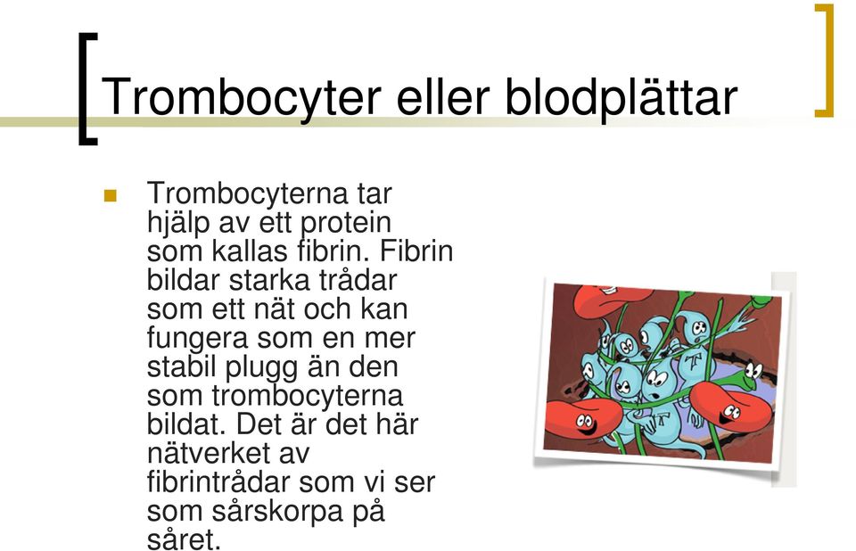 Fibrin bildar starka trådar som ett nät och kan fungera som en mer