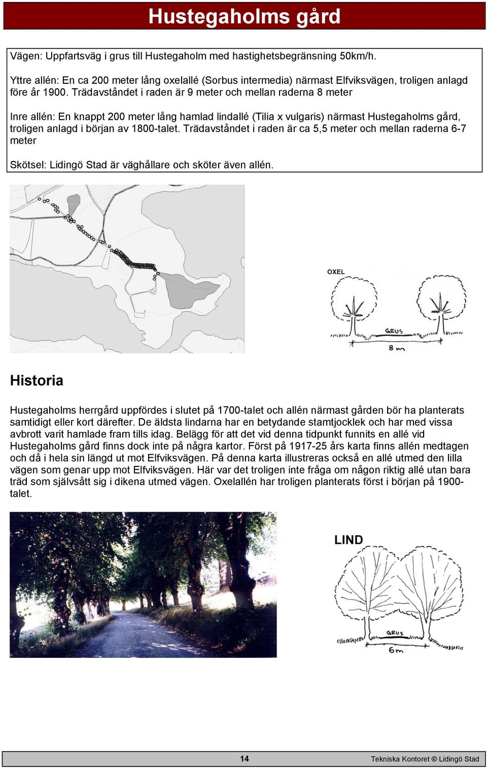 Trädavståndet i raden är 9 meter och mellan raderna 8 meter Inre allén: En knappt 200 meter lång hamlad lindallé (Tilia x vulgaris) närmast Hustegaholms gård, troligen anlagd i början av 1800-talet.