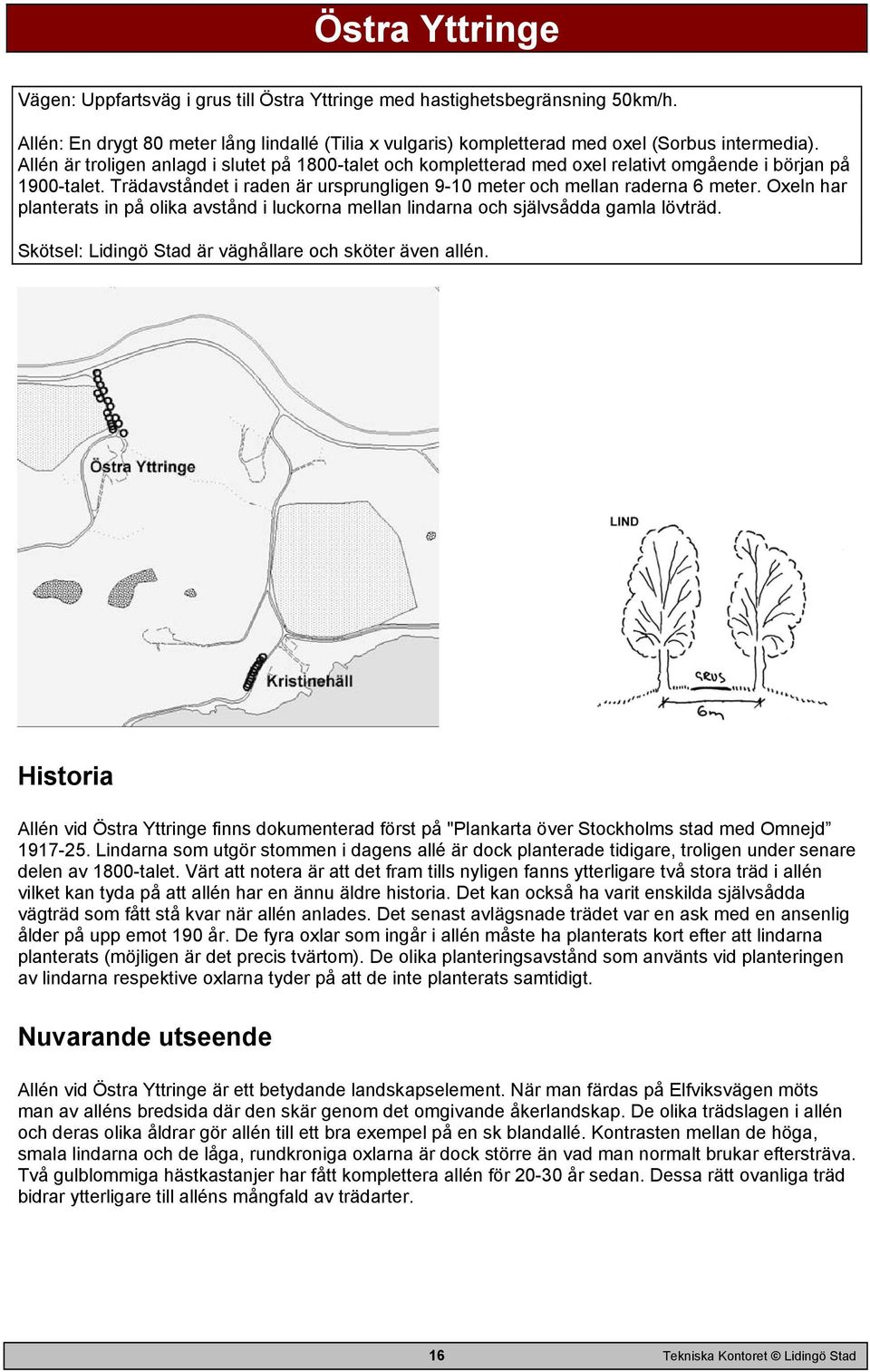 Oxeln har planterats in på olika avstånd i luckorna mellan lindarna och självsådda gamla lövträd. Skötsel: Lidingö Stad är väghållare och sköter även allén.