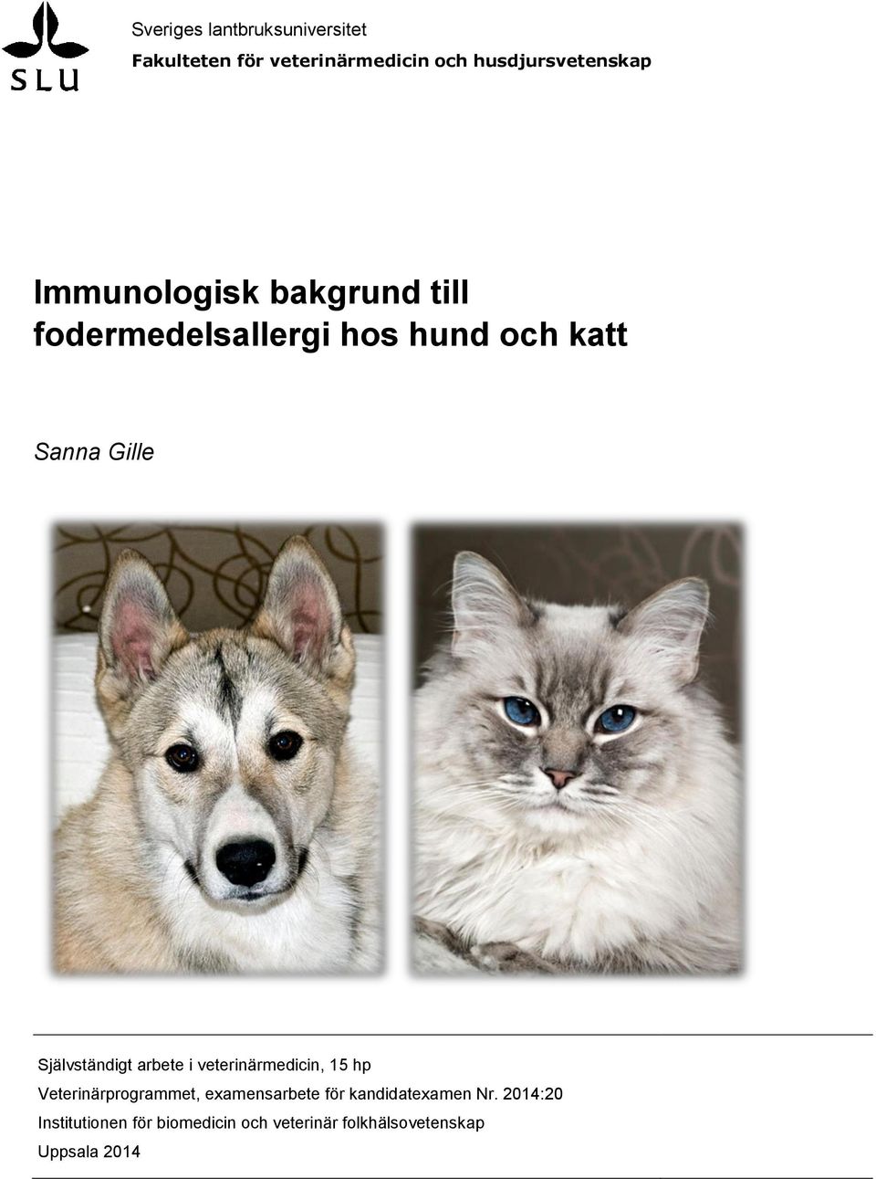 Självständigt arbete i veterinärmedicin, 15 hp Veterinärprogrammet, examensarbete för