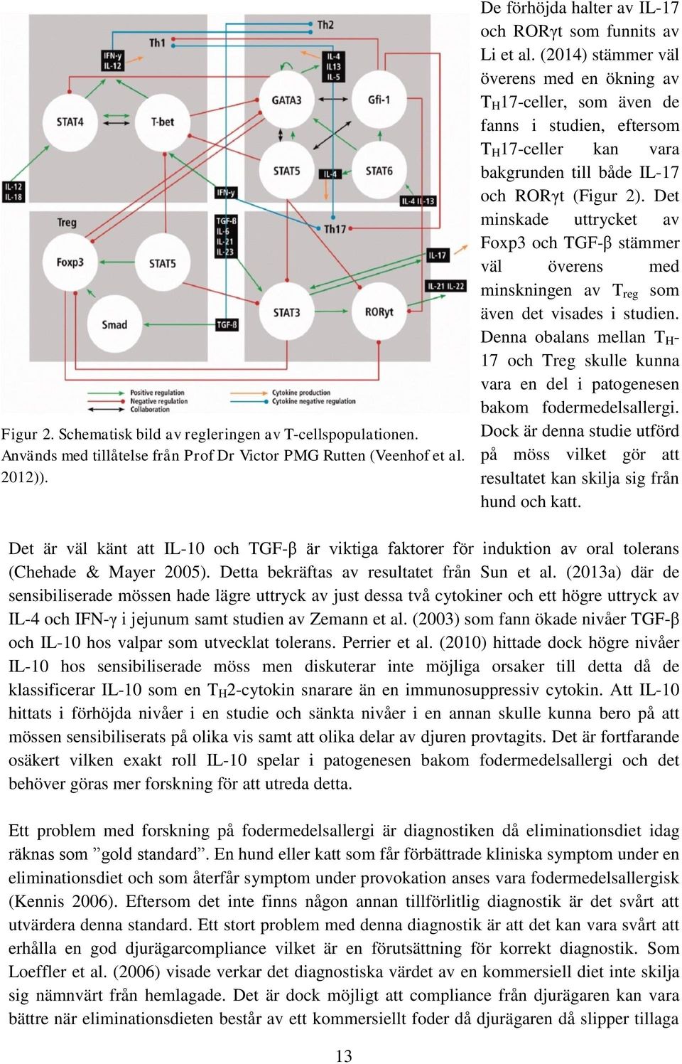(2014) stämmer väl överens med en ökning av T H 17-celler, som även de fanns i studien, eftersom T H 17-celler kan vara bakgrunden till både IL-17 och RORγt (Figur 2).