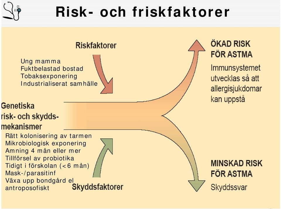 exponering Amning 4 mån eller mer Tillförsel av probiotika Tidigt i